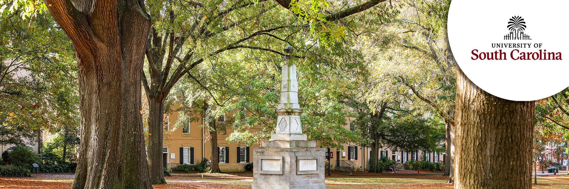 Lead Senior Director Development, Joseph F. Rice School of Law