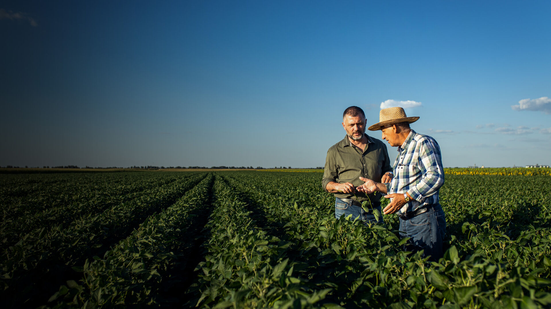 Family-Owned/Privately Held Organizations