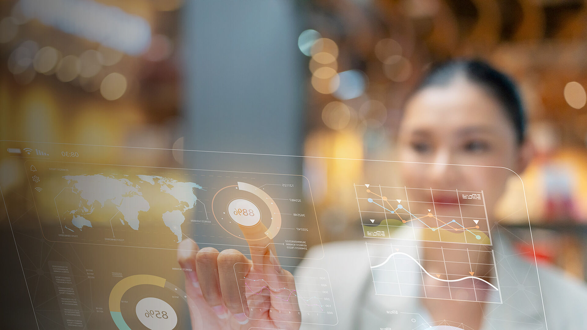 Global/Multinational Organizations