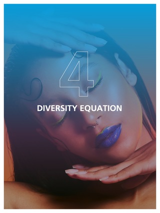 Diversity Equation