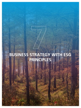 Business Strategy with ESG Principles