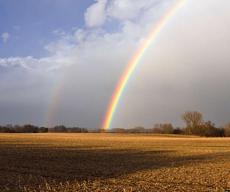 Text & Tile Image (if Text)