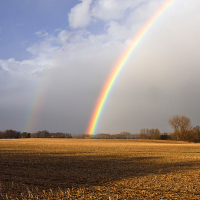 Two Questions That Redefine Your Professional Journey